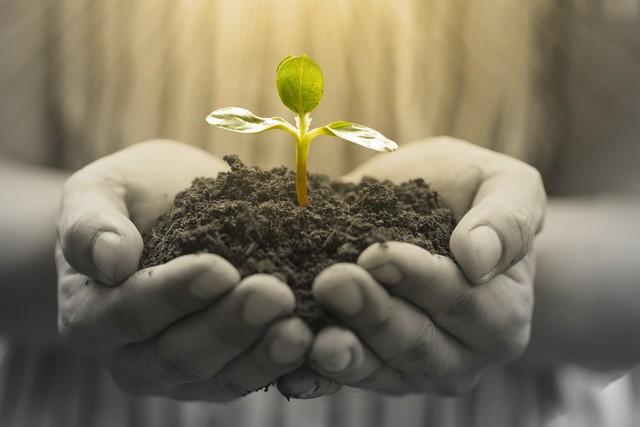 孩子成长的真正需求：金钱、玩具还是陪伴？(图2)