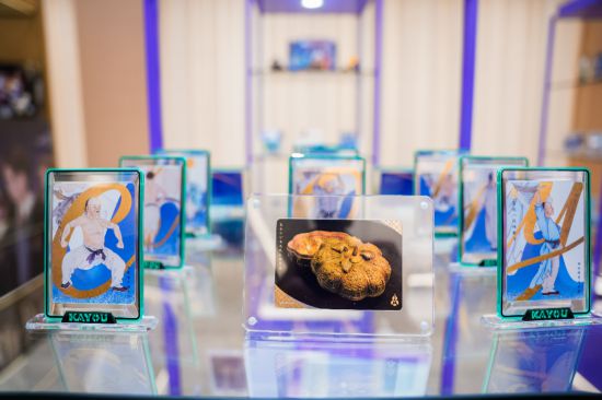 “卡游启智理性护航”青少年健康消费倡议在京发布(图2)