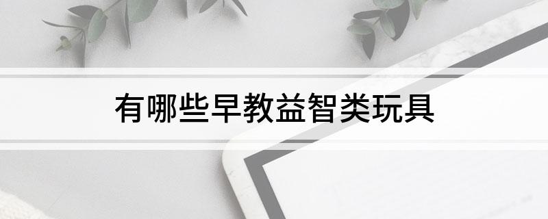 有哪些早教益智类玩具