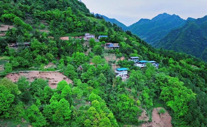 春节回家深感震撼:手机最先摧毁的可能是底层家庭的孩子(图4)