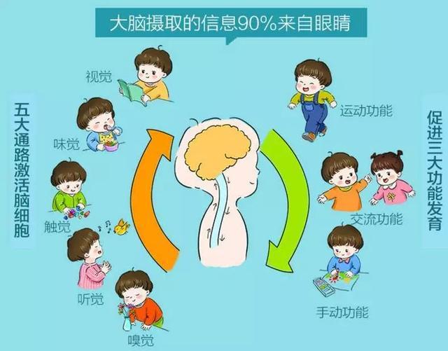有人说早教是智商税？早教对孩子的成长到底有什么样的影响？(图4)