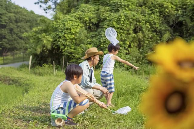 现在生孩子有什么好处？年轻父母建议都看看能减轻不少负担(图2)