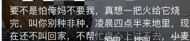 34岁河南村花侯丽丽去世！前夫带走遗体脑梗前1天凌晨下地割麦(图9)