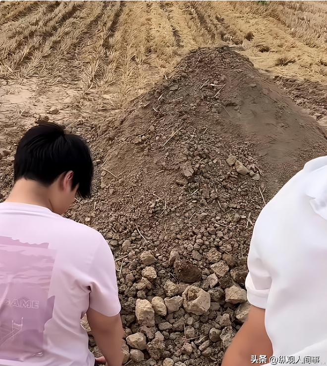 34岁河南村花侯丽丽去世！前夫带走遗体脑梗前1天凌晨下地割麦(图16)