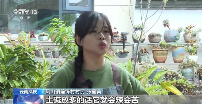 传统与创意碰撞！全国多地端午民俗活动大赏→(图6)