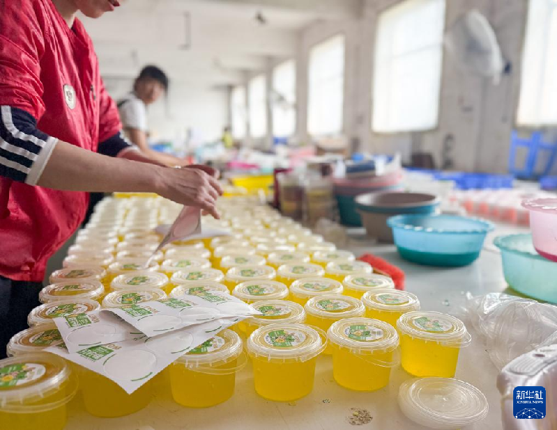 这些玩具可能正在悄悄伤害孩子(图13)