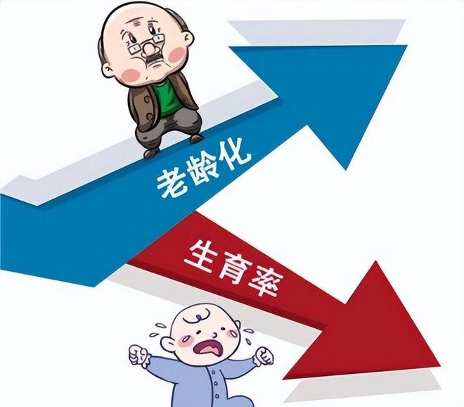 没人生娃了？上海一产科医生称：从一晚上8个剖腹产到现在1个没有(图15)