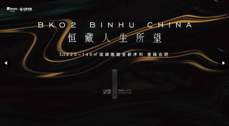 合肥望雲售楼处电话售楼中心电线楼盘百科楼盘网站测评中心电线小时热线(图3)