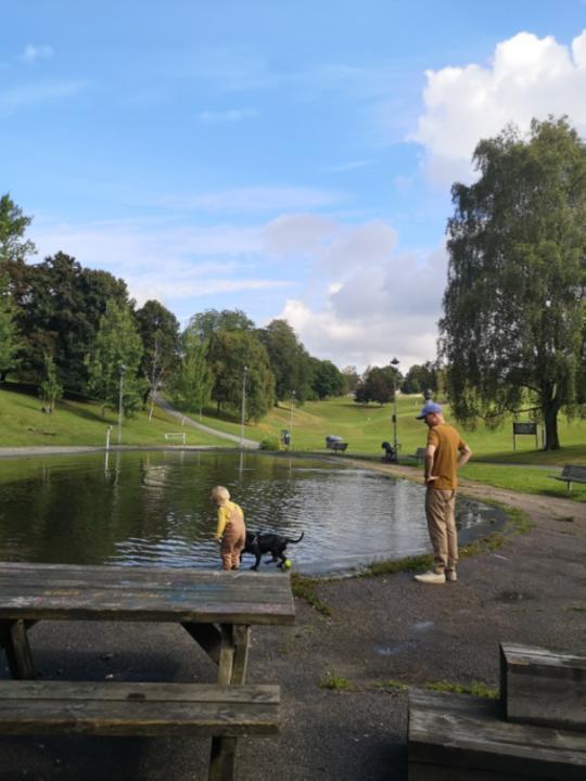 挪威奶爸为何如此普遍？(图3)