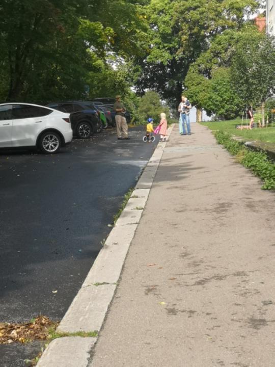 挪威奶爸为何如此普遍？(图4)