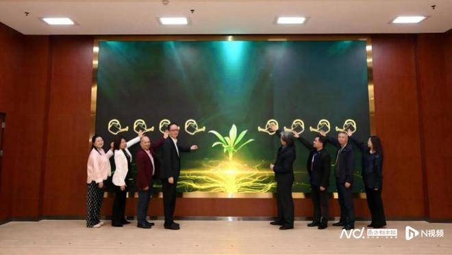 “向阳花开”！艺术疗愈赋能特需儿童成长