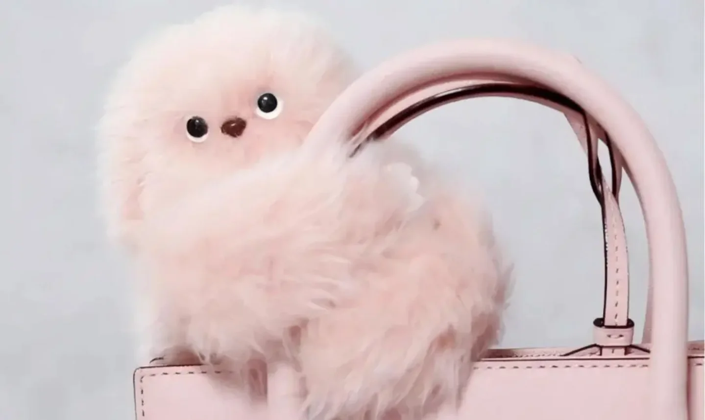 200亿热钱涌入AI玩具：MOMOTOY3个月营收暴涨200%、ropet90天用户留存超80%(图6)